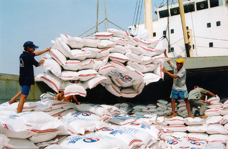 Rice exports continue to rise